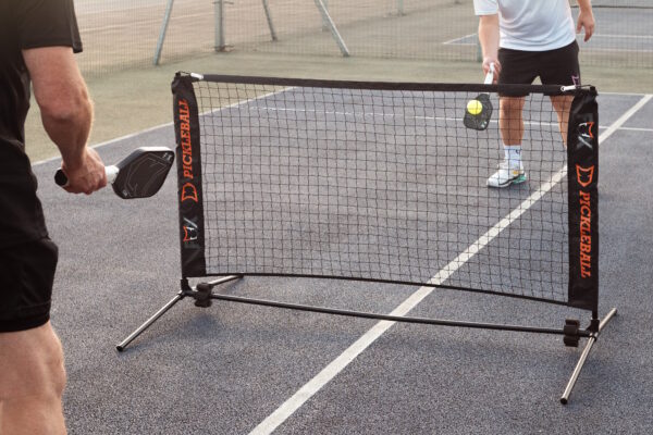 Fox Dink Net and Cub Paddles